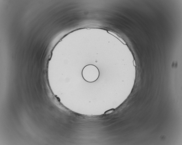 X0000113061488200910091131