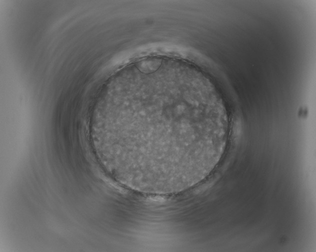 X0000113061489200910091130