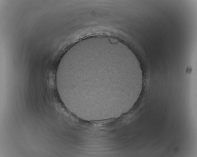 X0000113061490200910091130