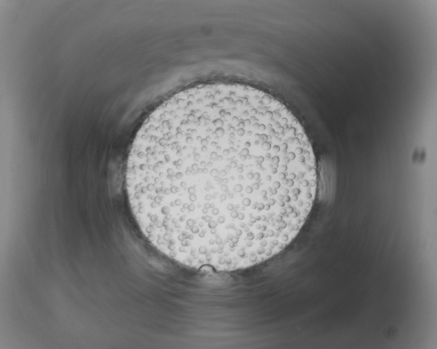 X0000113061491200910091130