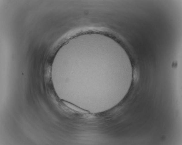 X0000113061492200910091130