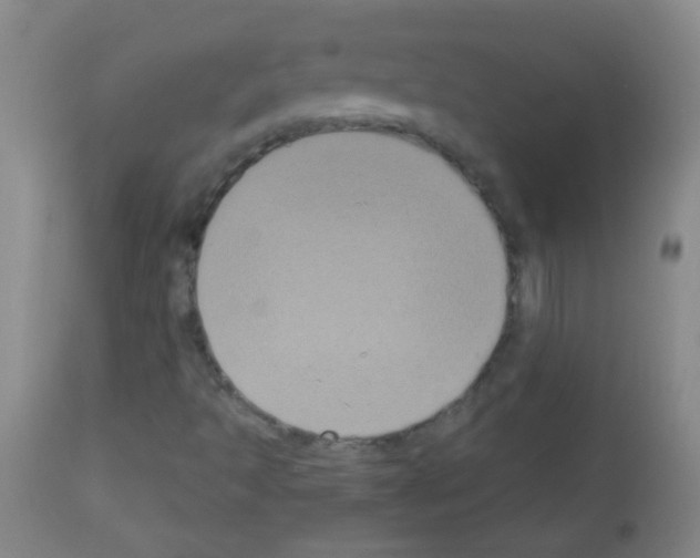 X0000113061493200910091130