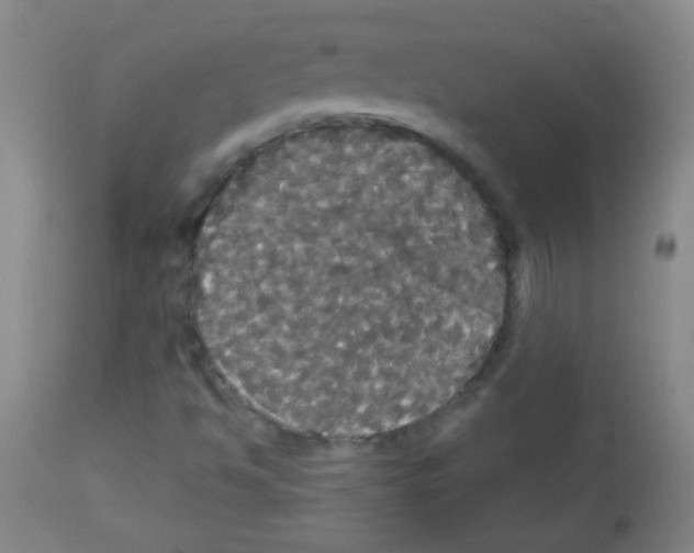 X0000113061494200910091130