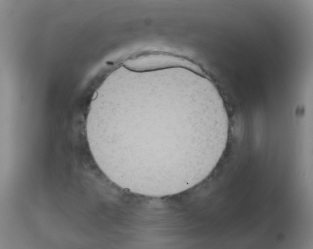 X0000113061495200910091130