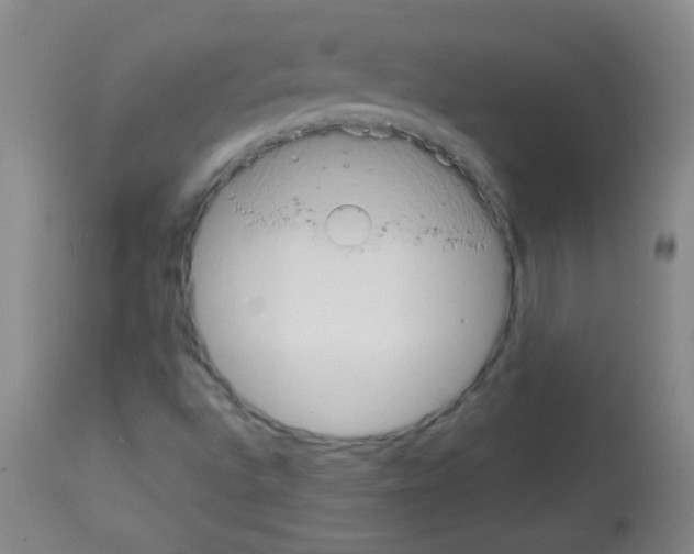 X0000113061496200910091130