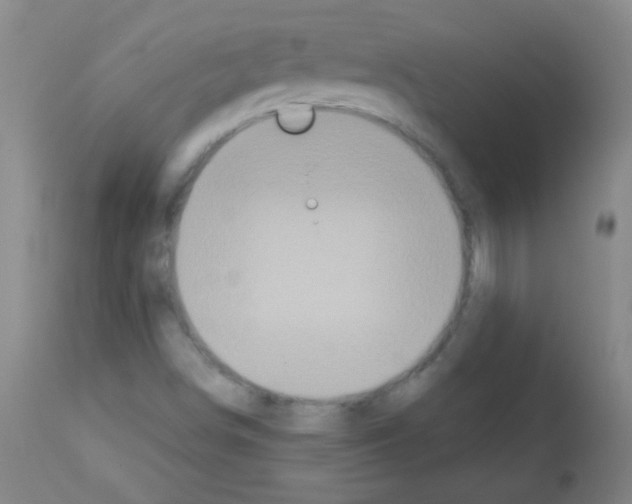 X0000113061498200910091130