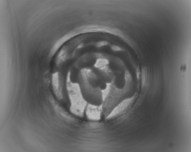 X0000113061501200910091130