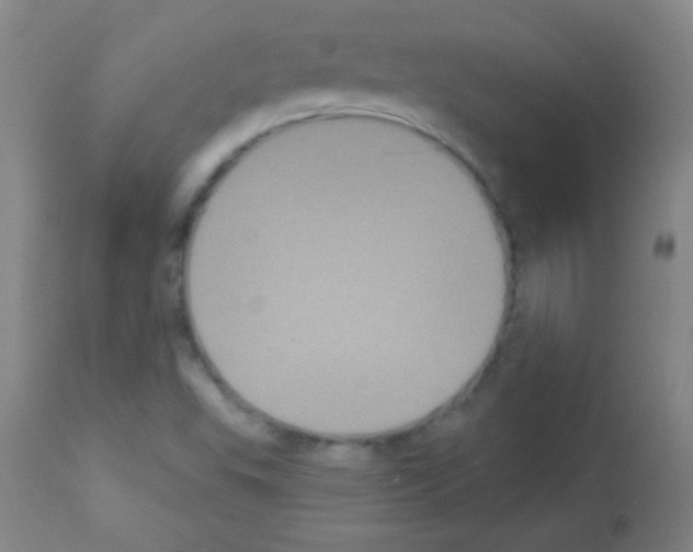X0000113061503200910091130