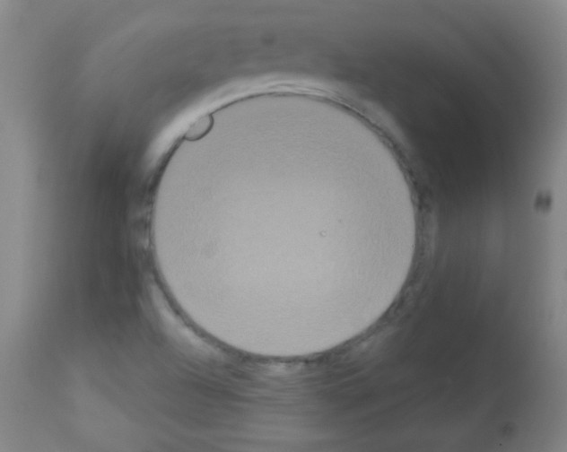 X0000113061504200910091130