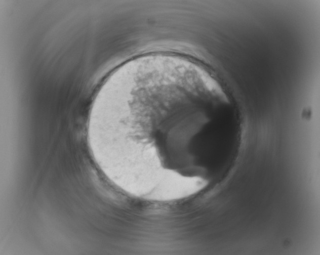 X0000113061505200910091130