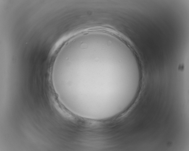 X0000113061506200910091130