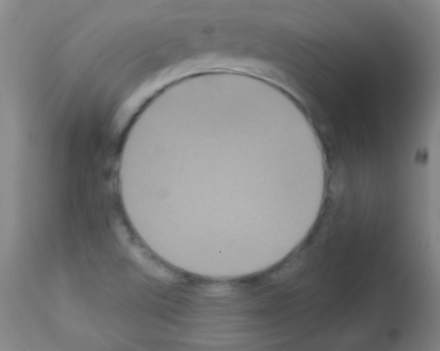 X0000113061507200910091130