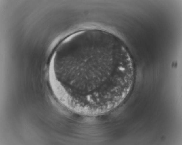 X0000113061509200910091130