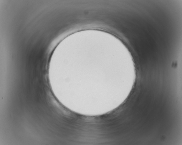 X0000113061512200910091130