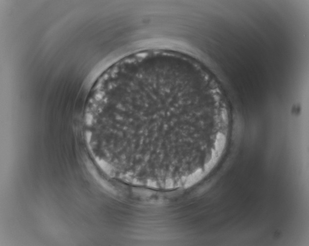 X0000113061513200910091130