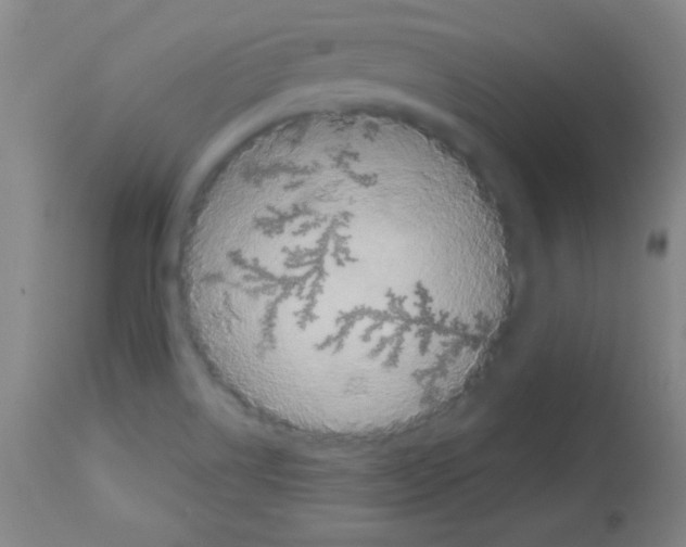 X0000113061514200910091130