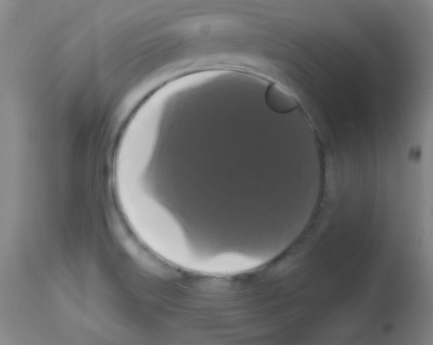 X0000113061515200910091130