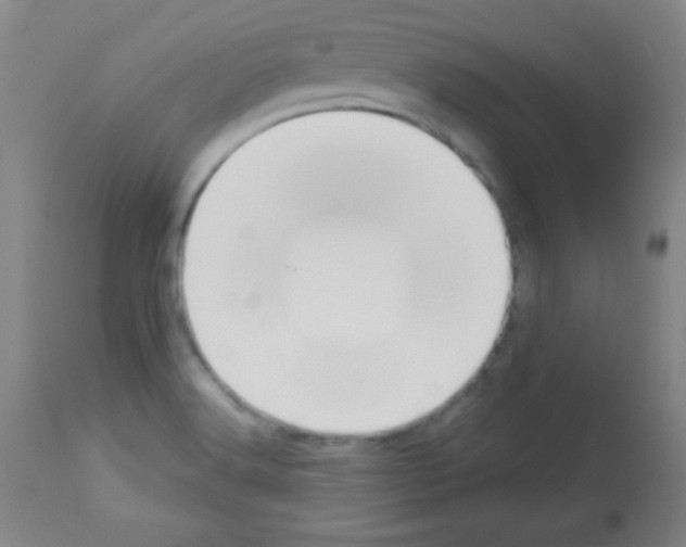 X0000113061516200910091130