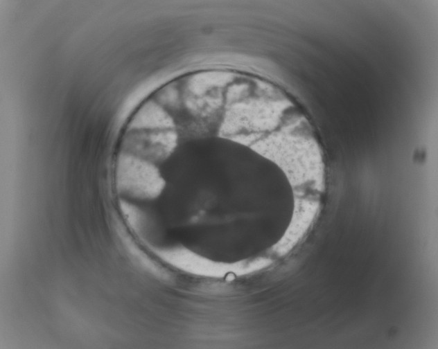 X0000113061517200910091130
