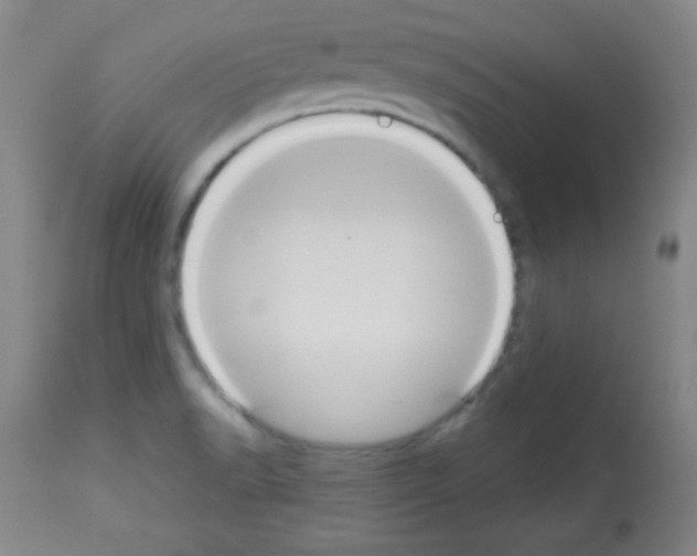 X0000113061518200910091130