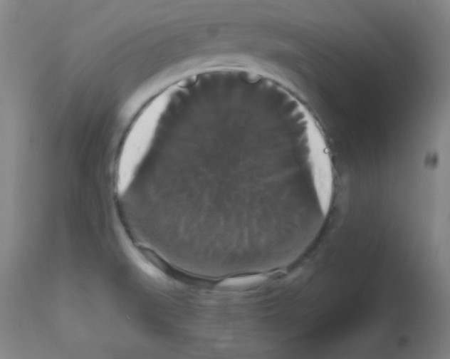 X0000113061519200910091130