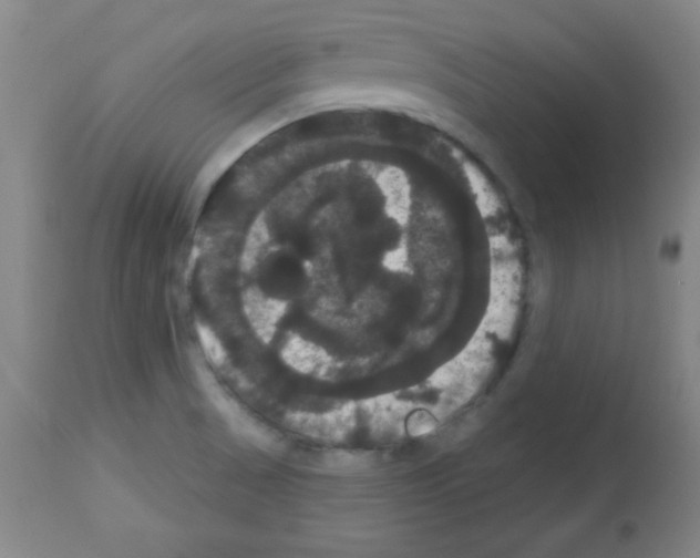 X0000113061521200910091130