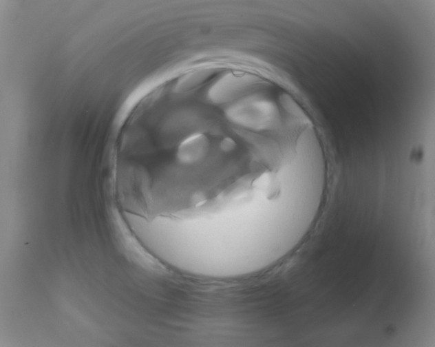 X0000113061522200910091130