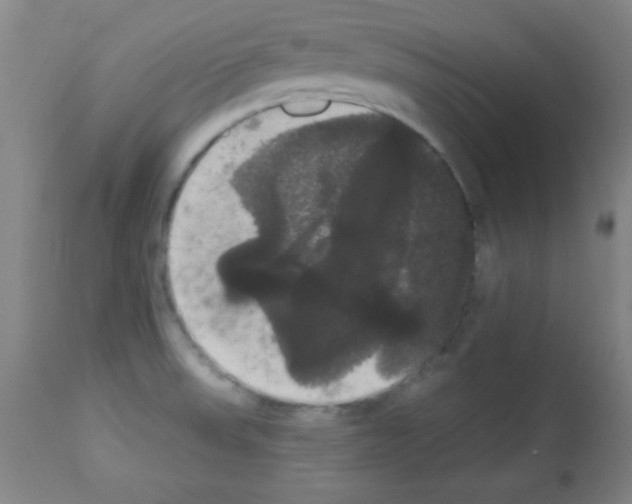 X0000113061523200910091130