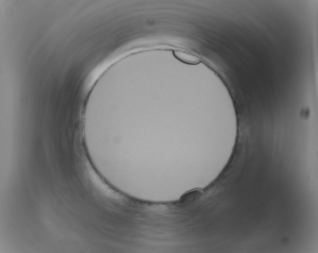 X0000113061524200910091131