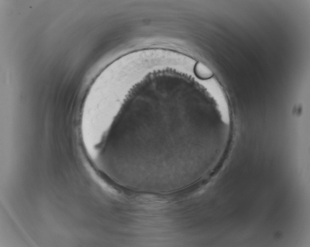 X0000113061525200910091131