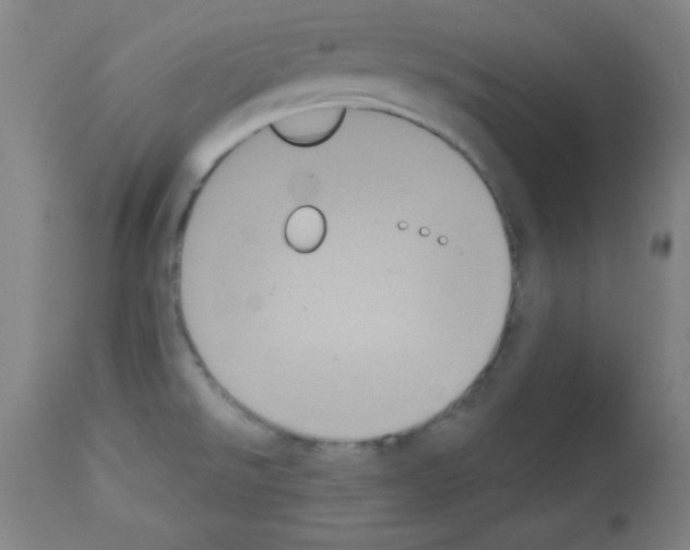 X0000113061526200910091131