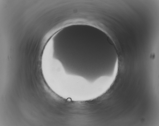 X0000113061527200910091131