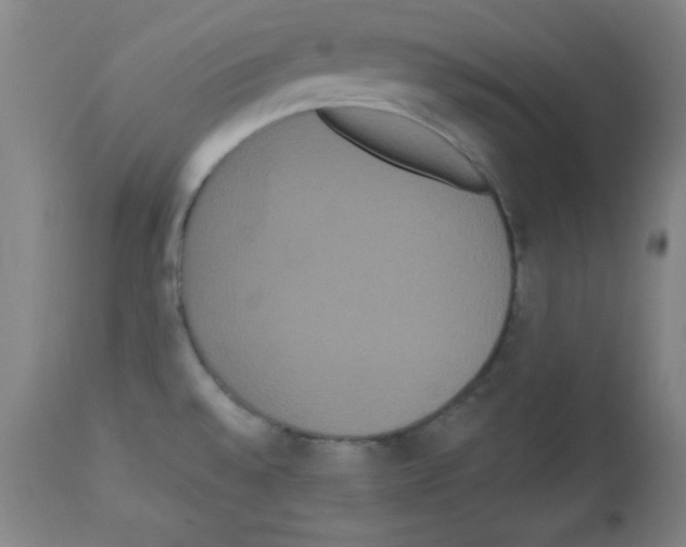 X0000113061528200910091131