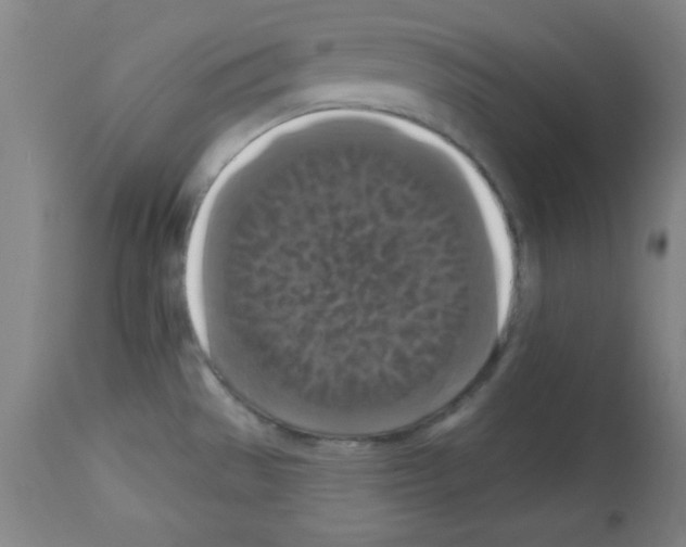 X0000113061529200910091131