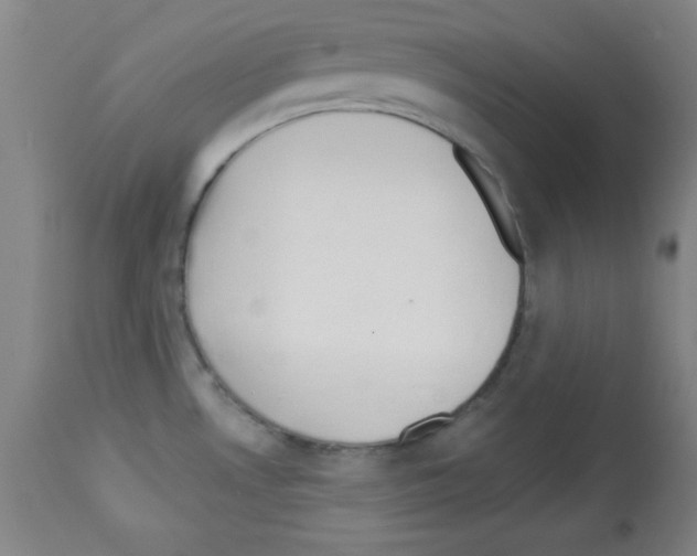 X0000113061530200910091131