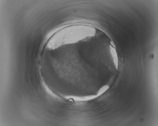 X0000113061531200910091131