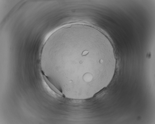 X0000113061532200910091131