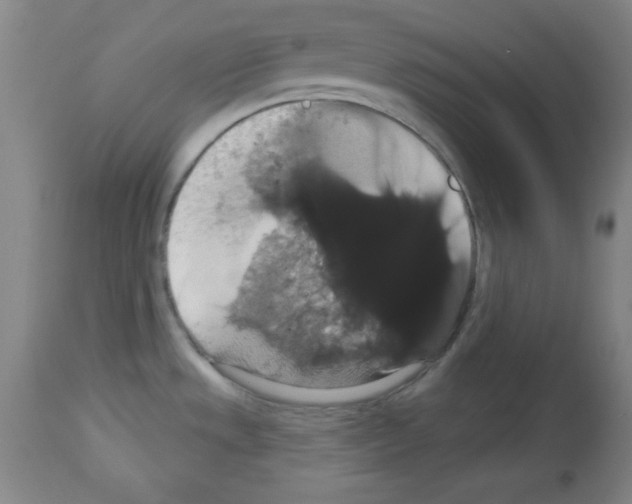 X0000113061533200910091131
