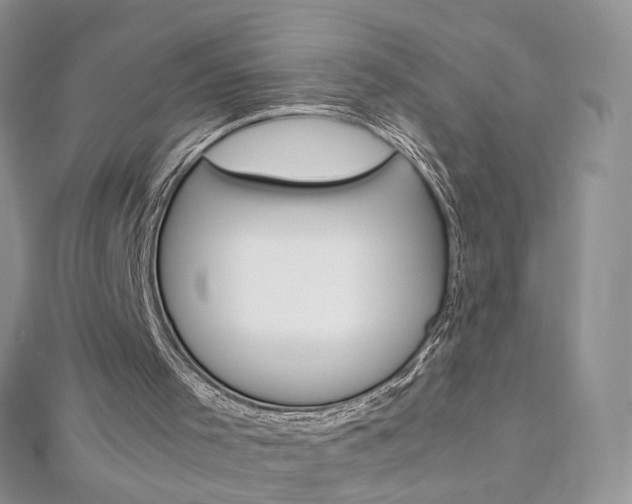 X0000113070001200908281020