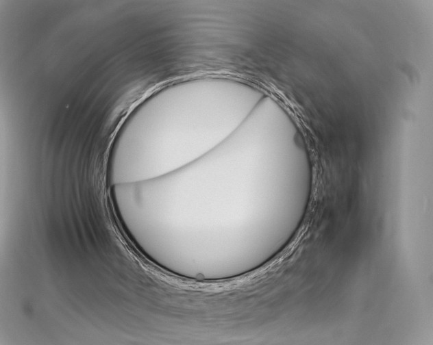X0000113070002200908281020