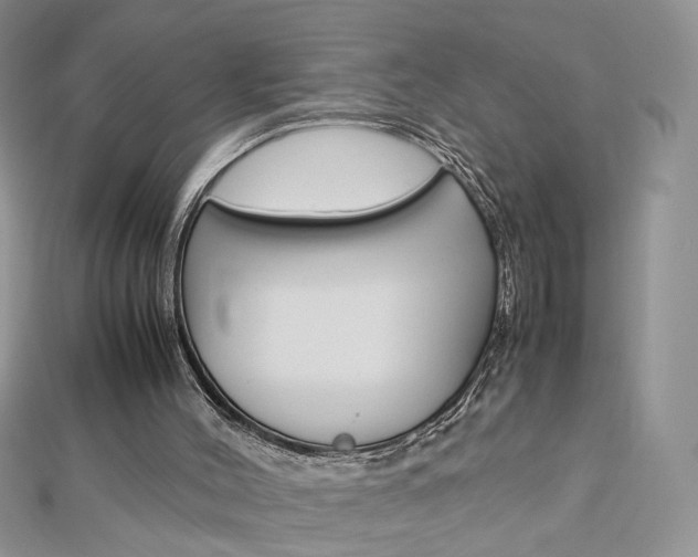 X0000113070004200908281020
