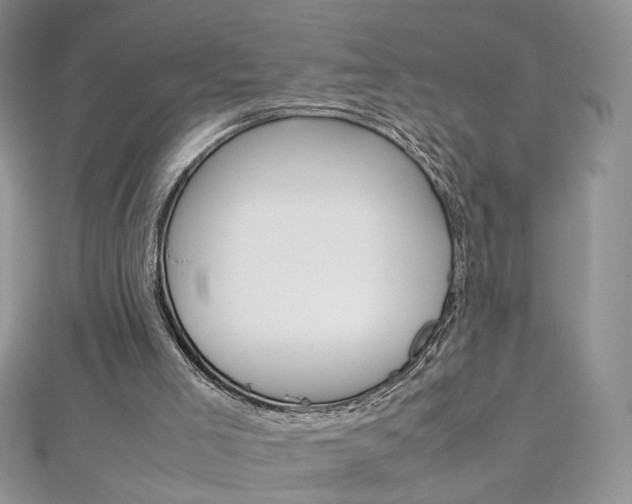 X0000113070005200908281020