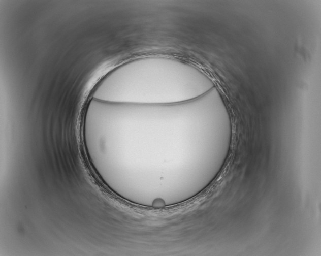 X0000113070006200908281020