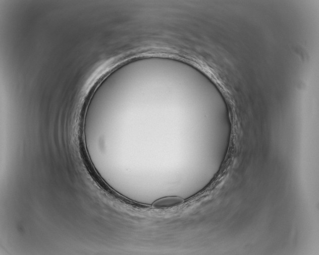 X0000113070007200908281020