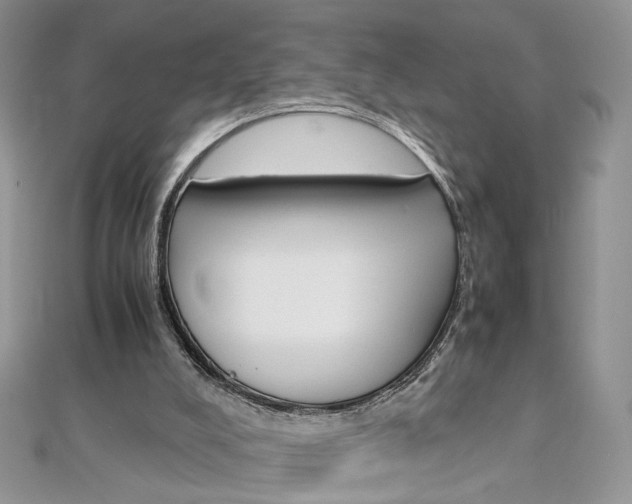 X0000113070008200908281020