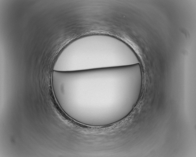 X0000113070009200908281020