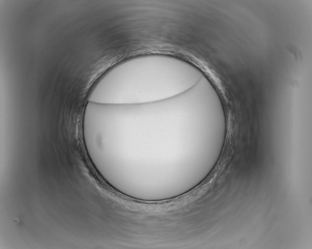 X0000113070010200908281020