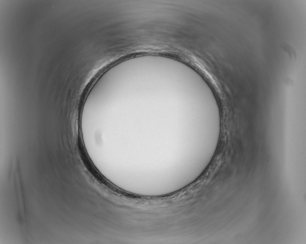 X0000113070011200908281020