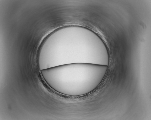 X0000113070012200908281020