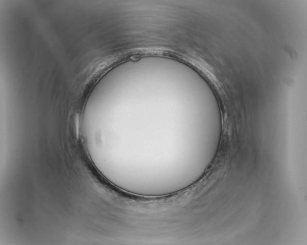 X0000113070013200908281020